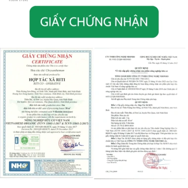 Trà Hoa Cúc Chi hữu cơ không biến đổi gen - Thanh nhiệt, ngủ ngon, gói 20g, giá 208.000₫ 2