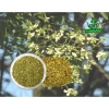 Trà hoa hòe 500g - Trà thảo mộc giảm cân, detox, giá ưu đãi 70.000đ