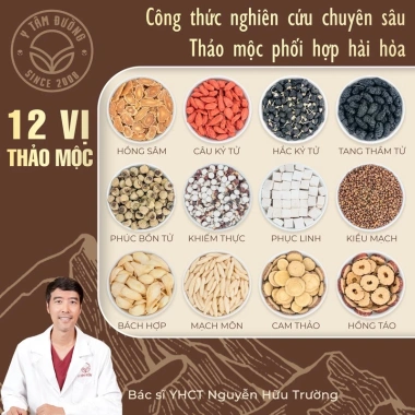 Trà Hồng Sâm Kỷ Tử Bách Hợp 12 Thảo Mộc - Xua Tan Mệt Mỏi, 16 Gói 18g, Giá Ưu Đãi 450.000đ