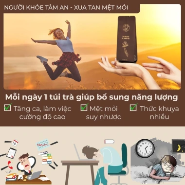 Trà Hồng Sâm Kỷ Tử Bách Hợp 12 Thảo Mộc - Xua Tan Mệt Mỏi, 16 Gói 18g, Giá Ưu Đãi 450.000đ