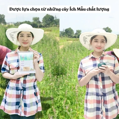 Trà Ích Mẫu 40 Túi Lọc - Điều Hòa Kinh Nguyệt, Giảm Đau Bụng Kinh 90.000₫ 3