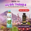 Trà Khúng Khéng HUTGAESOO – Thảo dược tự nhiên giảm cân, tăng sinh lực, giá 249.999đ