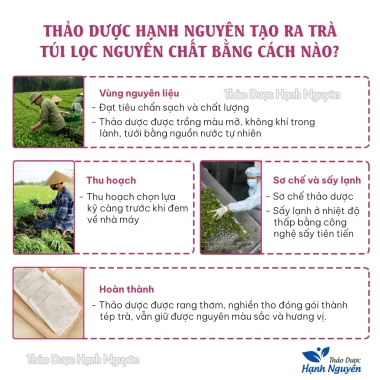 Trà kim tiền thảo túi lọc thanh nhiệt, lợi tiểu 30g x3 - Giá chỉ 32.000₫ - Thảo Dược Hạnh Nguyên 6 Trà kim tiền thảo túi lọc thanh nhiệt, lợi tiểu 30g x3 - Giá chỉ 32.000₫ - Thảo Dược Hạnh Nguyên 6