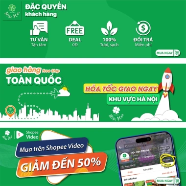 Trà Lá Mâm Xôi Túi Lọc 90k - Hỗ Trợ Làm Đẹp Niêm Mạc, Thả Tự Nhiên, Chuyển Phôi IVF/IUI