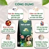 Trà lá nam 10 vị detox giảm cân thải độc gan hiệu quả - Hộp 60 gói 55.000 VND 3