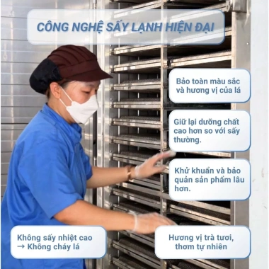 Trà Lá Sen Sấy Lạnh - Giảm Cân, Ngủ Ngon, Thải Độc Tự Nhiên, Không Bảo Quản, 59k