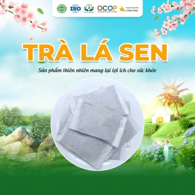 Trà Lá Sen Siêu Thị Thiên Nhiên 30 Túi Lọc - Trà thảo mộc detox, chỉ 36.988 VND