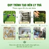 Trà lá vối thanh nhiệt 30 túi lọc - combo mát gan, giải khát, giá chỉ 36.000đ - MIHA Tea 5