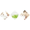 Trà Long Tinh Cao Cấp 50g - Hộp Lon Sang Trọng, Giảm Giá 20% Đến 80.000 VND 5