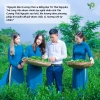 Trà Long Vân Thượng Hạng Phúc Gia – Trà Xanh Thái Nguyên Đặc Sản Tân Cương 420k 5