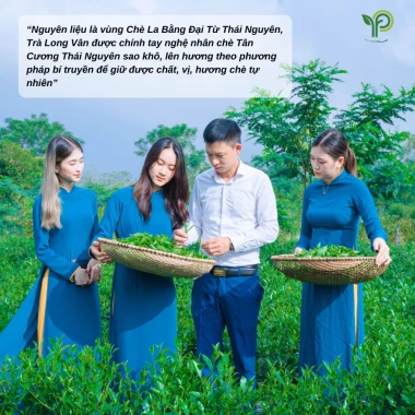 Trà Long Vân Thượng Hạng Phúc Gia – Trà Xanh Thái Nguyên Đặc Sản Tân Cương 420k