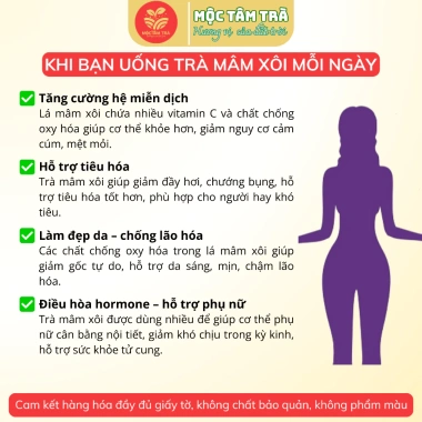 Trà Mâm Xôi Rừng Tây Bắc Mộc Tâm - Trà Trái Cây Tự Nhiên, Giảm Giá 35.000₫ (Giá Gốc 45.500₫)