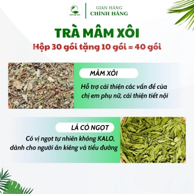 Trà Mâm Xôi Thảo Dược Zone HN - Hộp 30 tặng 10, giảm còn 99.000đ, hỗ trợ tiêu hoá, tăng đề kháng 5