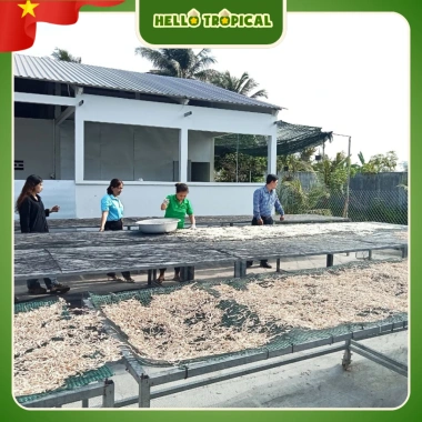 Trà Mãng Cầu Xiêm Rang Củi MINH CHÂU - Túi Lọc, Hương Tự Nhiên, Quà Tết 24 Gói 5 Trà Mãng Cầu Xiêm Rang Củi MINH CHÂU - Túi Lọc, Hương Tự Nhiên, Quà Tết 24 Gói 5