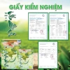 Trà Mộc Sen thanh nhiệt giải độc - Đẹp dáng, đẹp da, giảm cân, giá ưu đãi 625.000 VND 4