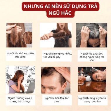 Trà Ngũ Hắc Bảo An - Mọc tóc nhanh, đen tóc, dưỡng chắc khỏe, da đẹp, dáng đẹp - 93.600₫ 2