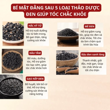 Trà Ngũ Hắc Bảo An - Mọc tóc nhanh, đen tóc, dưỡng chắc khỏe, da đẹp, dáng đẹp - 93.600₫ 4