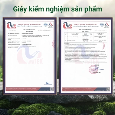 Trà Ngũ Mộc Hương: Thảo mộc Việt cho phụ nữ, làm đẹp niêm mạc, cân bằng 164k 3 Trà Ngũ Mộc Hương: Thảo mộc Việt cho phụ nữ, làm đẹp niêm mạc, cân bằng 164k 3