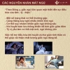 Trà Ngủ Ngon Tâm An - Giảm Đau Đầu, Mất Ngủ, Cải Thiện Giấc Ngủ, 185.000 VND 2