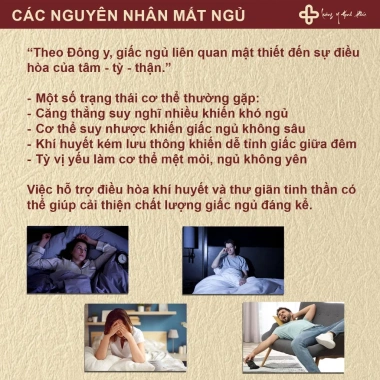 Trà Ngủ Ngon Tâm An - Giảm Đau Đầu, Mất Ngủ, Cải Thiện Giấc Ngủ, 185.000 VND 2