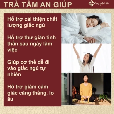 Trà Ngủ Ngon Tâm An - Giảm Đau Đầu, Mất Ngủ, Cải Thiện Giấc Ngủ, 185.000 VND 4