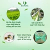 Trà Nhài Túi Lọc ANBA 25 Túi Dịu Ấm Bụng Mùa Đông Giảm Căng Thẳng Giá 41.900₫ 7