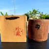 Trà Ô Long Nhân Sâm Đảo Hải Nam Lan Quý Nhân Thượng Hạng 500g Rương Gỗ 388.000đ 6