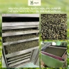 Trà Oolong Bảo Lộc 250‑500g – Hương vị tinh túy thiên nhiên, pha trà sữa & trái cây, chỉ 72.999đ 4