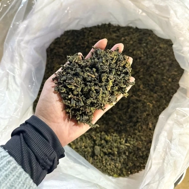 Trà Oolong Bảo Lộc 250‑500g – Hương vị tinh túy thiên nhiên, pha trà sữa & trái cây, chỉ 72.999đ