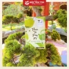 Trà Phan Tả Diệp Mộc Tâm An 25 gói 3.5g - Giá chỉ 34,500₫, thanh mát, tiêu hoá 7