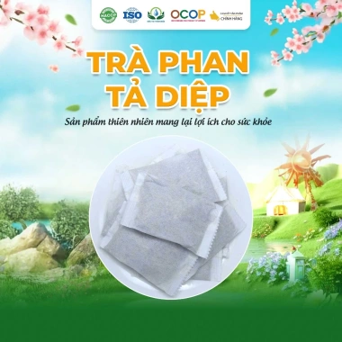 Trà Phan Tả Diệp Siêu Thị Thiên Nhiên 30 Túi Lọc Giá 45.000 Tăng Cường Sức Khỏe