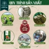Trà Phục Dương Ba Kích Ngọc Cẩu Làng Mai 7 vị thảo dược Hộp 30 túi lọc, chỉ 71.200₫ 2