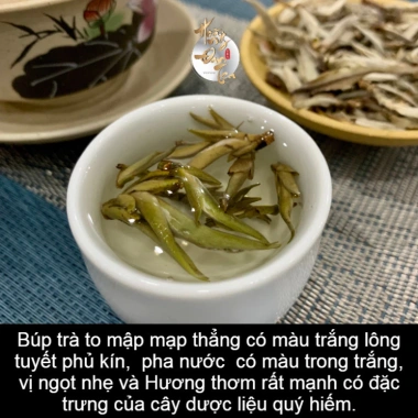 Trà Rừng Bạch Tiên An Cổ Thụ Hà Giang - Chè Xanh Trà Đạo, Hộp Quà Tặng 814k
