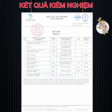 Trà Rừng Bạch Tiên An Cổ Thụ Hà Giang - Chè Xanh Trà Đạo, Hộp Quà Tặng 814k