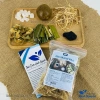 Trà sâm bí đao 3 set mix sẵn 5-7 lít + hạt chia - Giải nhiệt mùa hè, thanh lọc cơ thể, chỉ 30.000₫ 5
