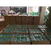 Trà Sâm Dứa túi lọc Bảo Ngân 350g - Giá chỉ 39.999đ, thải độc, tăng đề kháng 7