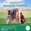 Trà sữa Tân Cương nguyên chất – sữa bò tươi cao nguyên, gói nhỏ tiện lợi, không thêm đường, chỉ 175.000₫ 6