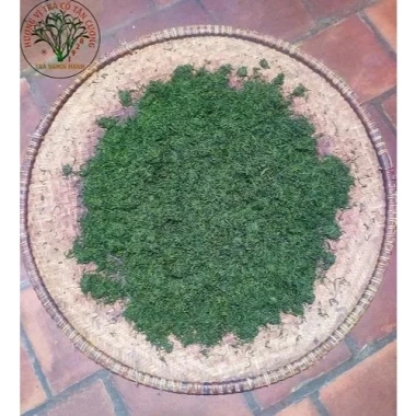 Trà Tấm Thơm Ngon Chính Hãng Công Ty Trà Nghìn Hạnh Tân Cương 500g - Giá 120.000₫ 2