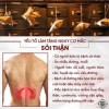 Trà Tán Sỏi Bội Lan Đường Túi 50 lọc - Thảo mộc tự nhiên, giảm giá 154k 6
