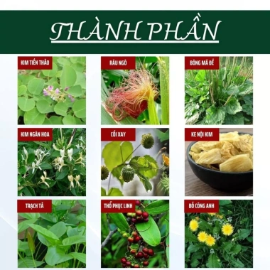 Trà Tán Sỏi Lang Tị 50 lọc - Lợi tiểu, bài tiết sỏi thận, thải độc thận, tiết niệu, bàng quang - 130k 3