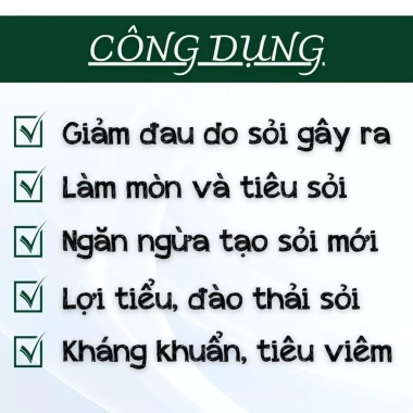 Trà Tán Sỏi Lang Tị 50 lọc - Lợi tiểu, bài tiết sỏi thận, thải độc thận, tiết niệu, bàng quang - 130k 4