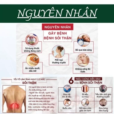 Trà Tán Sỏi Lang Tị 50 lọc - Lợi tiểu, bài tiết sỏi thận, thải độc thận, tiết niệu, bàng quang - 130k 6