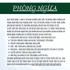 Trà Tán Sỏi Lang Tị 50 lọc - Lợi tiểu, bài tiết sỏi thận, thải độc thận, tiết niệu, bàng quang - 130k 9