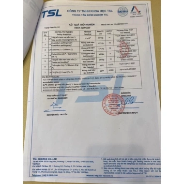 Trà Táo Xanh ADELA Kelly Detox 12 gói - Combo kèm vitamin, giảm cân, thanh lọc cơ thể 4