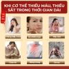 Trà Tết 2.026 Bổ Máu Mộc Nhiên - Giảm Chóng Mặt, Hỗ Tim, Stress Giá 35.000đ 5