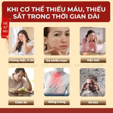 Trà Tết 2.026 Bổ Máu Mộc Nhiên - Giảm Chóng Mặt, Hỗ Tim, Stress Giá 35.000đ