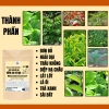Trà Thải Độc Da Bội Lan Đường - Giảm ngứa, chữa viêm da cơ địa, chàm, nấm - Túi 50 lọc, Giá ưu đãi 154,000đ 2