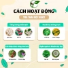 Trà Thải Độc Ruột Thảo Mộc Xanh - Sạch Đường, Giảm Táo Bón, Hỗ Trợ Tiêu Hóa, 30 lọc - Giá 111k 4