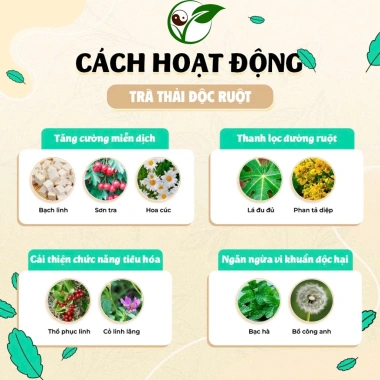 Trà Thải Độc Ruột Thảo Mộc Xanh - Sạch Đường, Giảm Táo Bón, Hỗ Trợ Tiêu Hóa, 30 lọc - Giá 111k