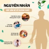 Trà Thải Độc Ruột Thảo Mộc Xanh - Sạch Đường, Giảm Táo Bón, Hỗ Trợ Tiêu Hóa, 30 lọc - Giá 111k 5